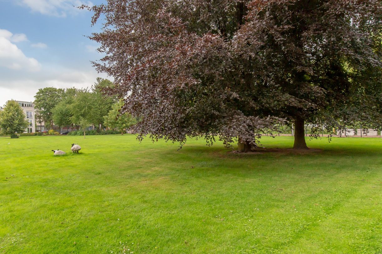 Te koop: Foto Appartement aan de Leidseweg 178 in Utrecht