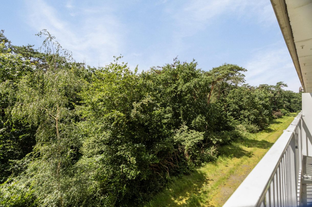 Te koop: Foto Appartement aan de Anna Paulownalaan 56 in Zeist