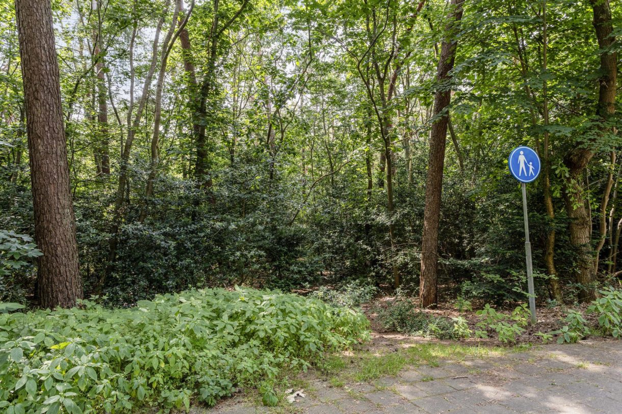 Te koop: Foto Appartement aan de Anna Paulownalaan 56 in Zeist