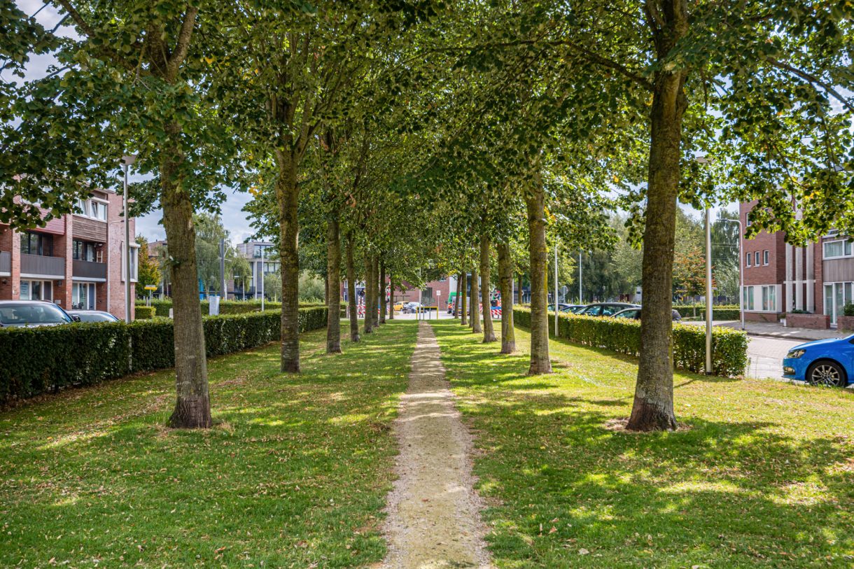 Te koop: Foto Woonhuis aan de Sofiastraat 3 in IJsselstein