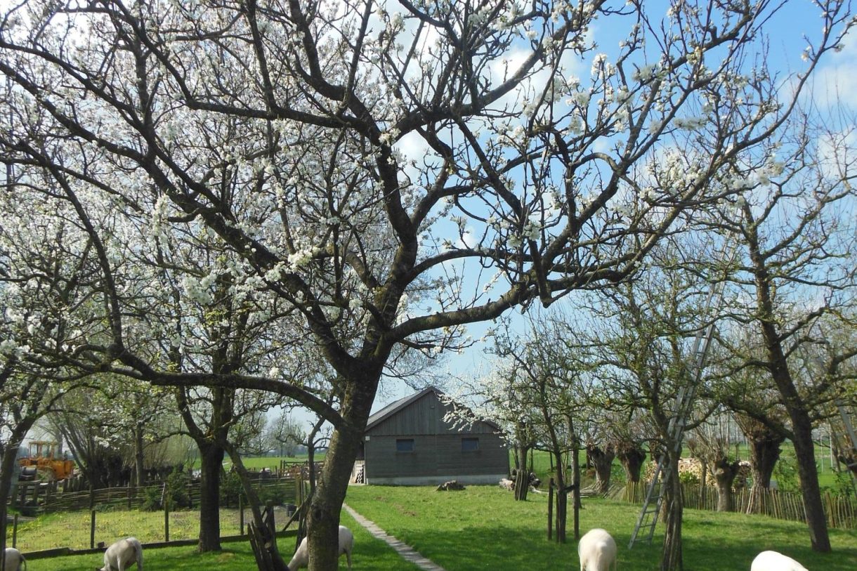 Te koop: Foto Woonhuis aan de Achtersloot 39 in IJsselstein