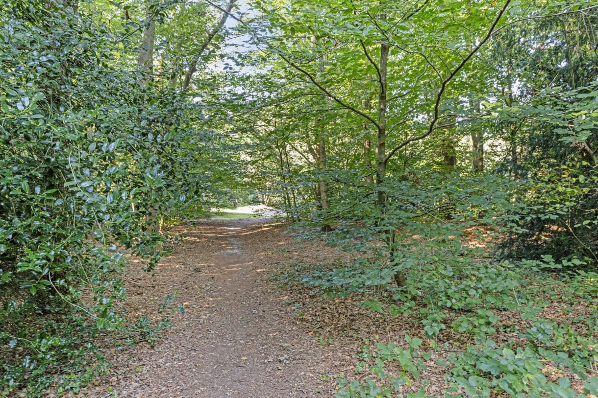 Te koop: Foto Appartement aan de Anna Maria van Schuurmanlaan 41 in Bilthoven