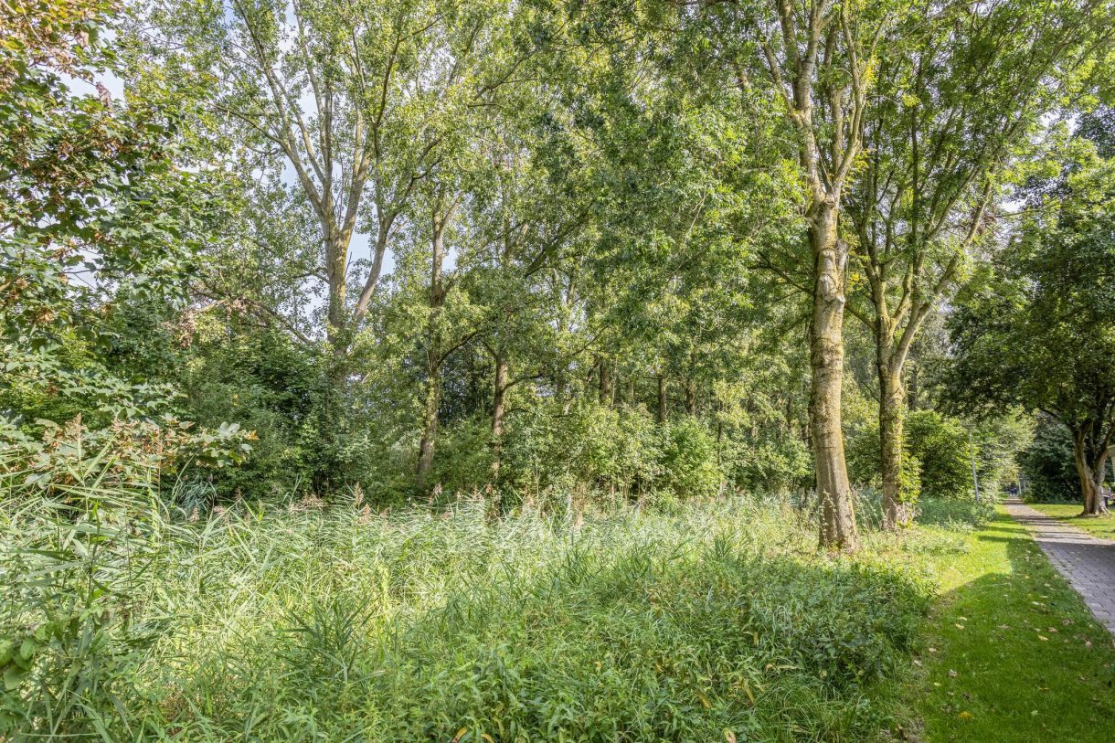 Te koop: Foto Woonhuis aan de Nasahof 10 in IJsselstein