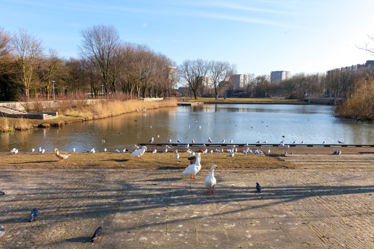 Te koop: Foto Appartement aan de Van Weerden Poelmanlaan 68 in Utrecht